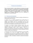 Procesos de la manufactura . Estructura del proceso