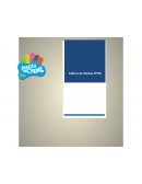 Plan de Negocios PALETAS PIYIN