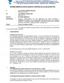 INFORME AMBIENTAL ANTES, DURANTE Y DESPUES DE LA EJECUCION Nº 001