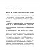 APLICACIÓN DEL BLOQUE DE CONSTITUCIONALIDAD EN LA SEGURIDAD SOCIAL