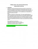 FORMULACION Y EVALUACION DE PROYECTOS. DESPULPADO DE FRUTAS