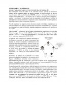 LOS HOGARES COLOMBIANOS