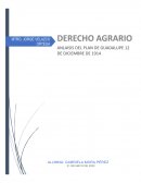 ANÁLISIS DEL PLAN DE GUADALUPE