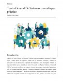 Teoría General De Sistemas: un enfoque práctico