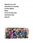 Diagnóstico de la salud . Autocuidado de la comunidad