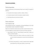 Resumen Visgosky, Ausubel, piaget