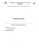 CULTIVOS- EXPERIMENTOS