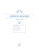 Ejercicio aplicado mecánica de fluidos