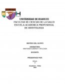 Sentido del olfato