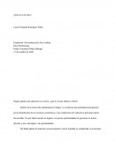 Ética Profesional. Singer plantea una objeción en su texto, ¿qué es lo que objeta o crítica?