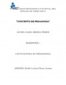 Concepto de pedagogia