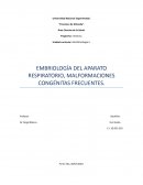 EMBRIOLOGÍA DEL APARATO RESPIRATORIO, MALFORMACIONES CONGÉNITAS FRECUENTES