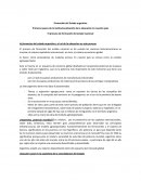 FORMACION DEL ESTADO ARGENTINO