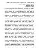 FERTILIZANTES ORGÁNICOS E INORGÁNICOS , ¿CUÁL ES MEJOR?
