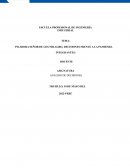 PILADORA SEÑOR DE LOS MILAGRO, DECISIONES FRENTE A LA PANDEMIA