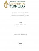 ANÁLISIS DEL GRUPO FAMILIAR