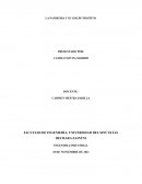 LA PANDEMIA Y SU GOLPE POSITIVO