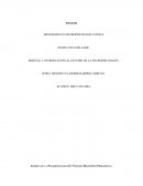 Aportes de la Neuropsicología En Nuestro Desempeño Profesional