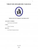 Protección de los bosques y deforestación