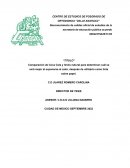 Comparación de Coca Cola y limón natural para determinar cuál se verá mejor al exponerse al calor, después de utilizarlo como tinta sobre papel