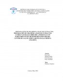 Prepeparación de shampoo a base de extractos ácidos naturales