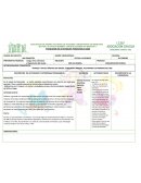 PLANEADOR DE ACTIVIDADES PEDAGOGICAS