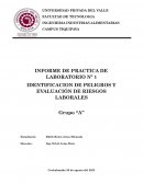 IDENTIFICACION DE PELIGROS Y EVALUACIÓN DE RIESGOS LABORALES