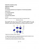 ESTATICA