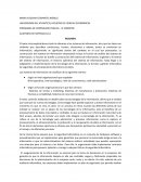 AUDITORIA DE SISTEMAS G,12