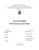 TALLER SOBRE ENFOQUE DE SISTEMA
