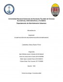 PLANIFICACIÓN DE UNA INVESTIGACIÓN DE MERCADOS