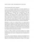 GRUPO 2-WILKER Y ANGEL-TEMA-MEMORIA RAM Y DISCO DURO