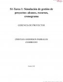 Simulación de sistema gerencia de proyectos