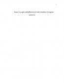 LOS REGALOS DEL ESTADO COLOMBIANO A LOS INGENIOS AZUCAREROS