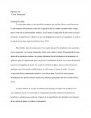 Realización de una crema humectante