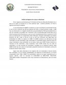 Análisis de Registro de un pozo en Blockistan