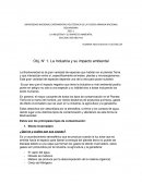 LA INDUSTRIA Y SU IMPACTO AMBIENTAL
