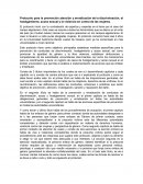 Protocolo contra violencia de la mujer