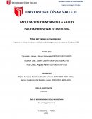 Programa de reforzamiento para modificar conductas agresivas en un sujeto de Chimbote, 2022