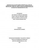 DIAGNOSTICO DEL PELIGRO QUIMICO PRESENTE EN EL AREA DEL LABORATORIO APARTIR DE LA METOLOGIA DE LA OBSERVACION EN LA PRECTICA