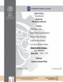 Plan de mercadotecnia