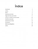 Importancia de la física