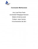 Conclusión Meritocracia