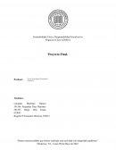 Sostenibilidad, Ética y Responsabilidad Social en los Negocios