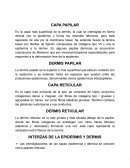 Mapa de biologia celulas