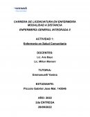 ACTIVIDAD 1: Enfermería en Salud Comunitaria