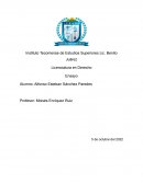 Licenciatura en Derecho. Ensayo