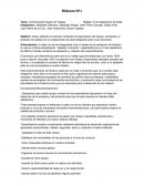 Conformación Equipo de Trabajo