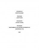 PROGRAMA MANTENIMIENTO DE SISTEMAS INFORMATICOS