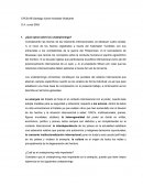 ¿Qué opina sobre los underpinnings?